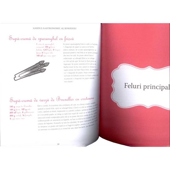 Ghidul gastronomic al Romaniei.Bucataria moderna - House of guides
