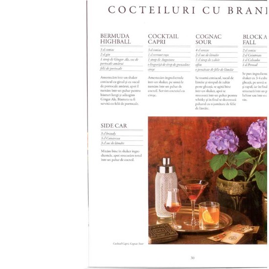 1000 de cocteiluri - Editura Aquila