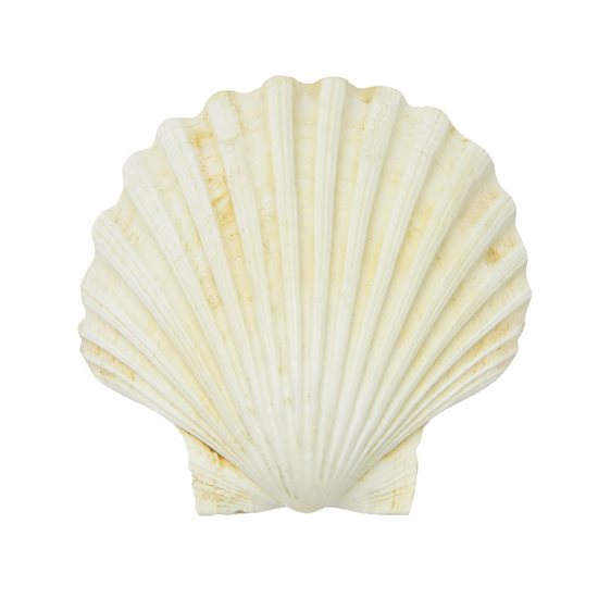 Napron 45 x 30 cm "Seashell"- Nuova R2S
