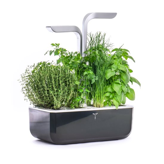 Jardiniera "SMART Garden", 33 x 18,5 x 45 cm, Soft Black - Veritable