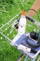 Sticla apa, inox, 430ml, "Zoo"- model tigru - Aladdin