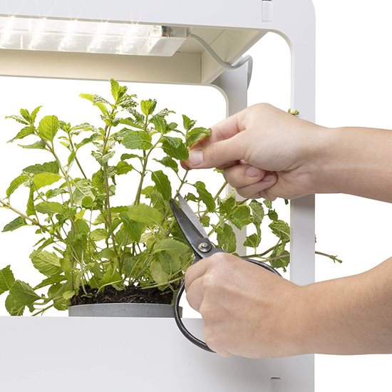 Suport cu lampa LED pentru cresterea plantelor - Smartwares