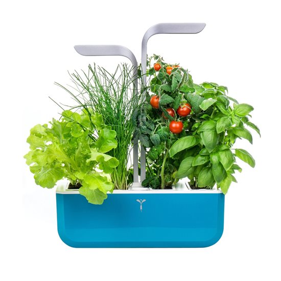 Jardiniera "SMART Garden", 33 x 18,5 x 45 cm, Blue - Veritable