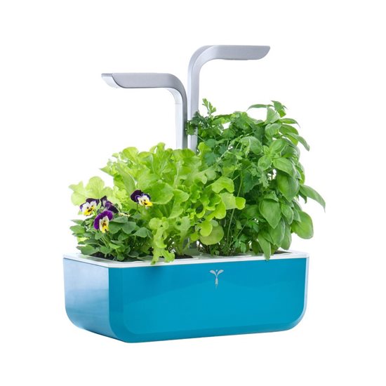 Jardiniera "SMART Garden", 33 x 18,5 x 45 cm, Blue - Veritable