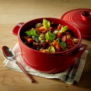 Oala ceramica, 22cm/2,5L, Burgundy - Emile Henry