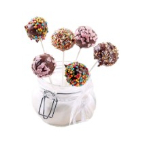 Set 48 betisoare Cake Pops, 15 cm, plastic - Westmark