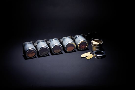 Set condimente cu suport magnetic, 43 x 7,5 cm - Kitchen Craft