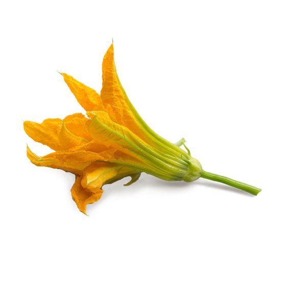 Pachet cu seminte "Lingot" flori de zucchini - Veritable