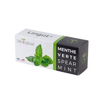 Pachet cu seminte "Lingot" menta - Veritable