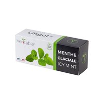 Pachet cu seminte "Lingot" menta glaciala - Veritable