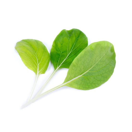 Pachet cu seminte "Lingot" pak choi - Veritable