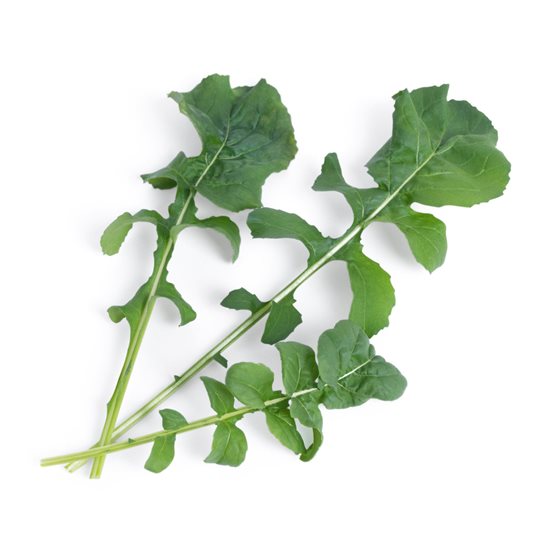 Pachet cu seminte "Lingot" rucola - Veritable