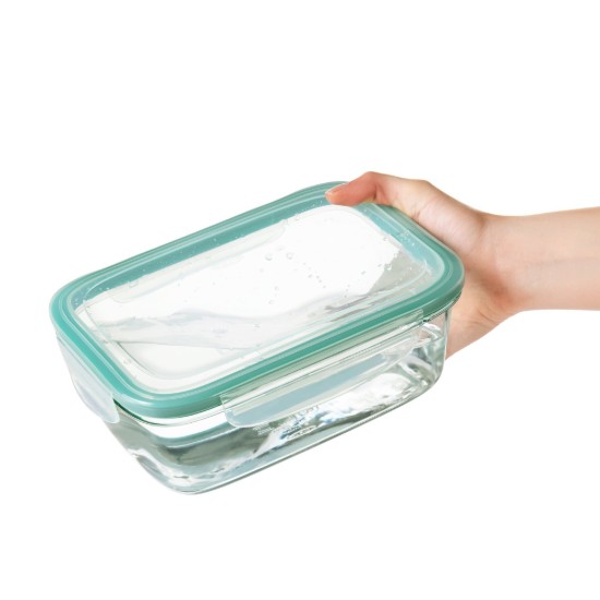 Caserola dreptunghiulara, sticla, 24 x 16,7 x 9,4 cm, 1,9L, "Good Grips" - OXO