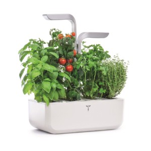Jardiniera, 33 x 18,5 x 45 cm, "SMART Garden", Arctic White - Veritable