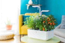 Jardiniera, 33 x 18,5 x 45 cm, "SMART Garden", Arctic White - Veritable