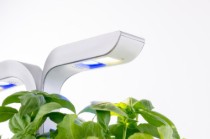 Jardiniera, 33 x 18,5 x 45 cm, "SMART Garden", Arctic White - Veritable