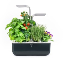 Jardiniera, 33 x 18,5 x 45 cm, "SMART Garden", Soft Black - Veritable
