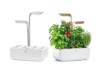 Imagine pentru categoria Jardiniere inteligente