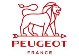 Imagine pentru categoria Peugeot