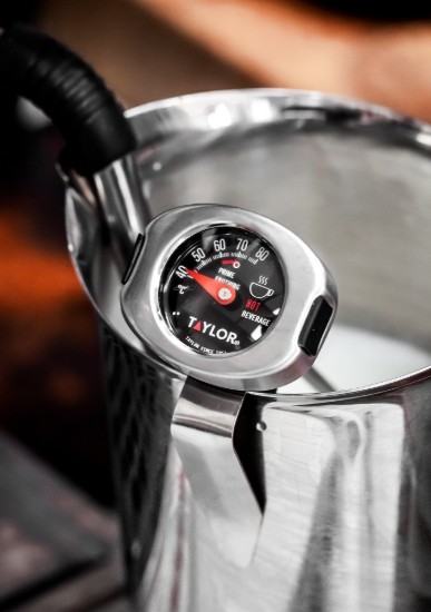 Termometru spumare lapte, inox - Taylor Pro