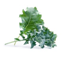 Pachet cu seminte "Lingot" varza kale - Veritable