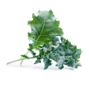 Pachet cu seminte "Lingot" varza kale - Veritable