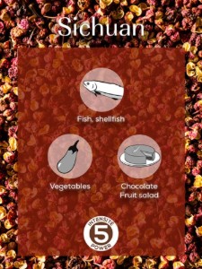 Set 4 pliculete piper rosu Sichuan, 4x10g, "Spices" - Peugeot