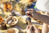 Set 4 piese picnic, inox, "Picnic Plus" - Opinel