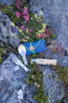 Set 4 piese picnic, inox, "Picnic Plus" - Opinel