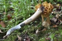 Cutit pentru ciuperci N°08, inox, 8cm - Opinel