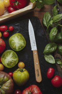 Cutit cu lama serata N°113, inox, 10cm, "Les Essentiels" - Opinel