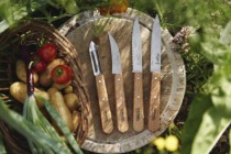 Set cutite, 4 piese, "Les Essentiels" - Opinel