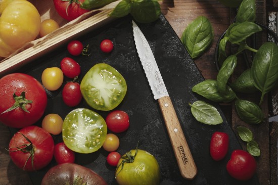 Set cutite, 4 piese, "Les Essentiels" - Opinel