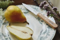 Set cutite de bucatarie 4 piese, "Les Essentiels" - Opinel