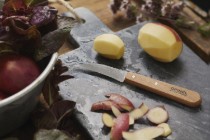 Set cutite de bucatarie 4 piese, "Les Essentiels" - Opinel