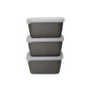 Set 3 caserole, bioplastic, 900ml - Natural elements