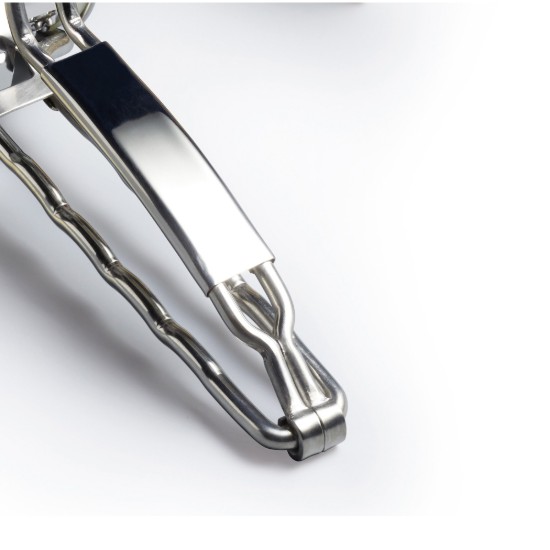 Razatoare branzeturi, inox, 21 x 12 cm - MasterClass