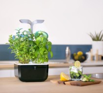 Jardiniera Exky "SMART Garden", Soft Black - Veritable