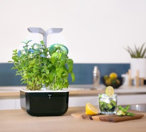 Jardiniera Exky "SMART Garden", Soft Black - Veritable
