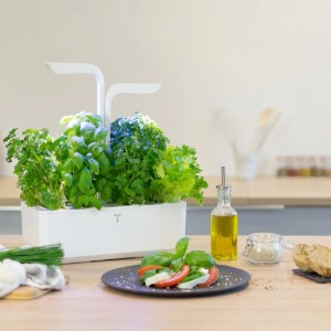 Jardiniera "CLASSIC Garden", 33 x 18,5 x 45 cm, Arctic White - Veritable