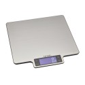 Cantar bucatarie, 10kg - Taylor Pro