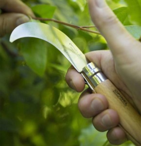Cutit pentru gradinarit N°10, inox, 10cm - Opinel