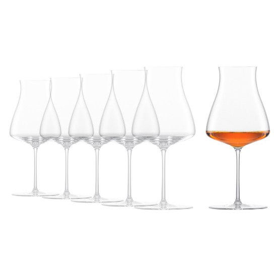Set 6 pahare whisky, sticla cristalina, 292ml, "Classics Select" - Schott Zwiesel