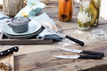 Set 4 cutite friptura, otel inoxidabil, "Steak-Sets" - Zwilling