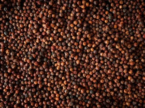 Set 3 pliculete piper rosu Kampot 3x20g, "Spices" - Peugeot