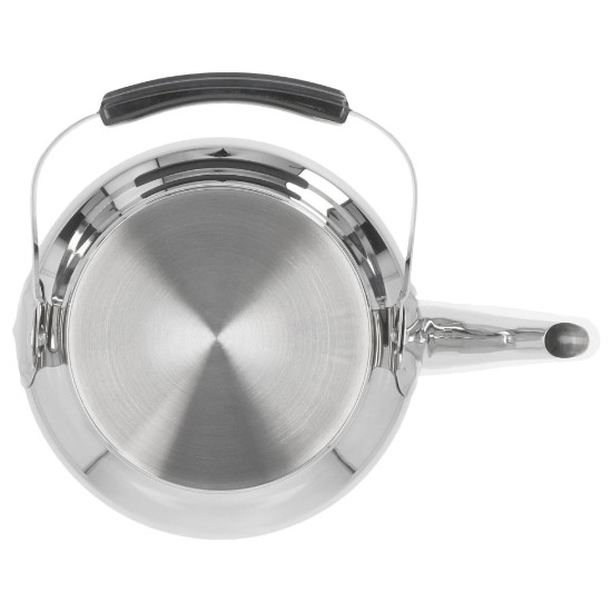 Ceainic inox, 15cm/4L "Specialties" - Demeyere