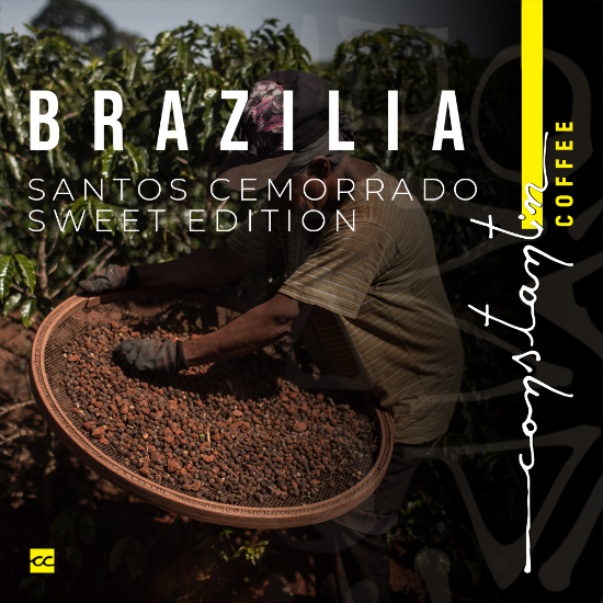 Cafea boabe "Brasil Santos Cemorrado Sweet Edition",  Arabica, 1 kg - Constantin Coffee