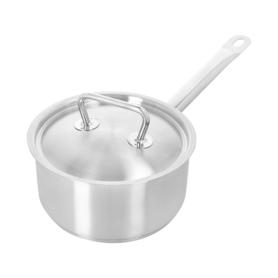 Cratita inox, cu capac, 20cm/3L, "Classic Pro 3" - Demeyere