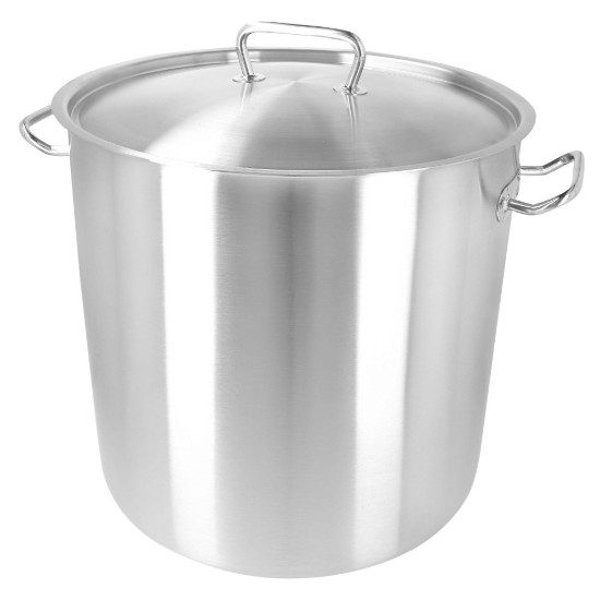 Oala inox, cu capac, 36cm/36,5L, "Classic Pro 3" - Demeyere