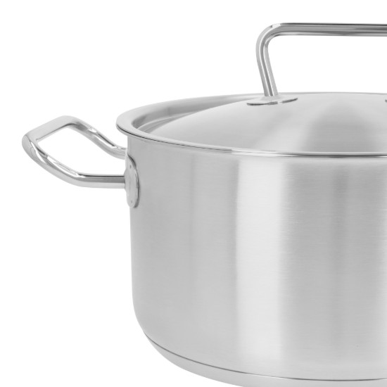 Cratita inox, cu capac, 24cm/5,5L, "Classic Pro 3" - Demeyere